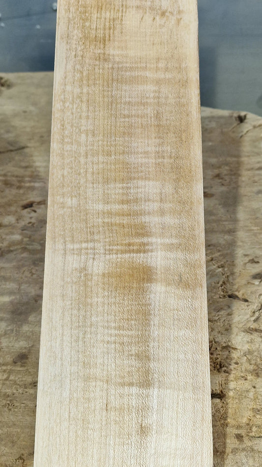 Halsrohling Riegelahorn 101225-2