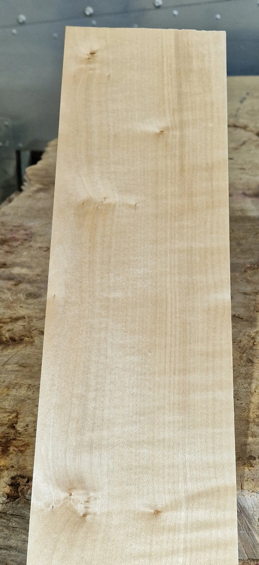 Halsrohling Riegelahorn 101225-4