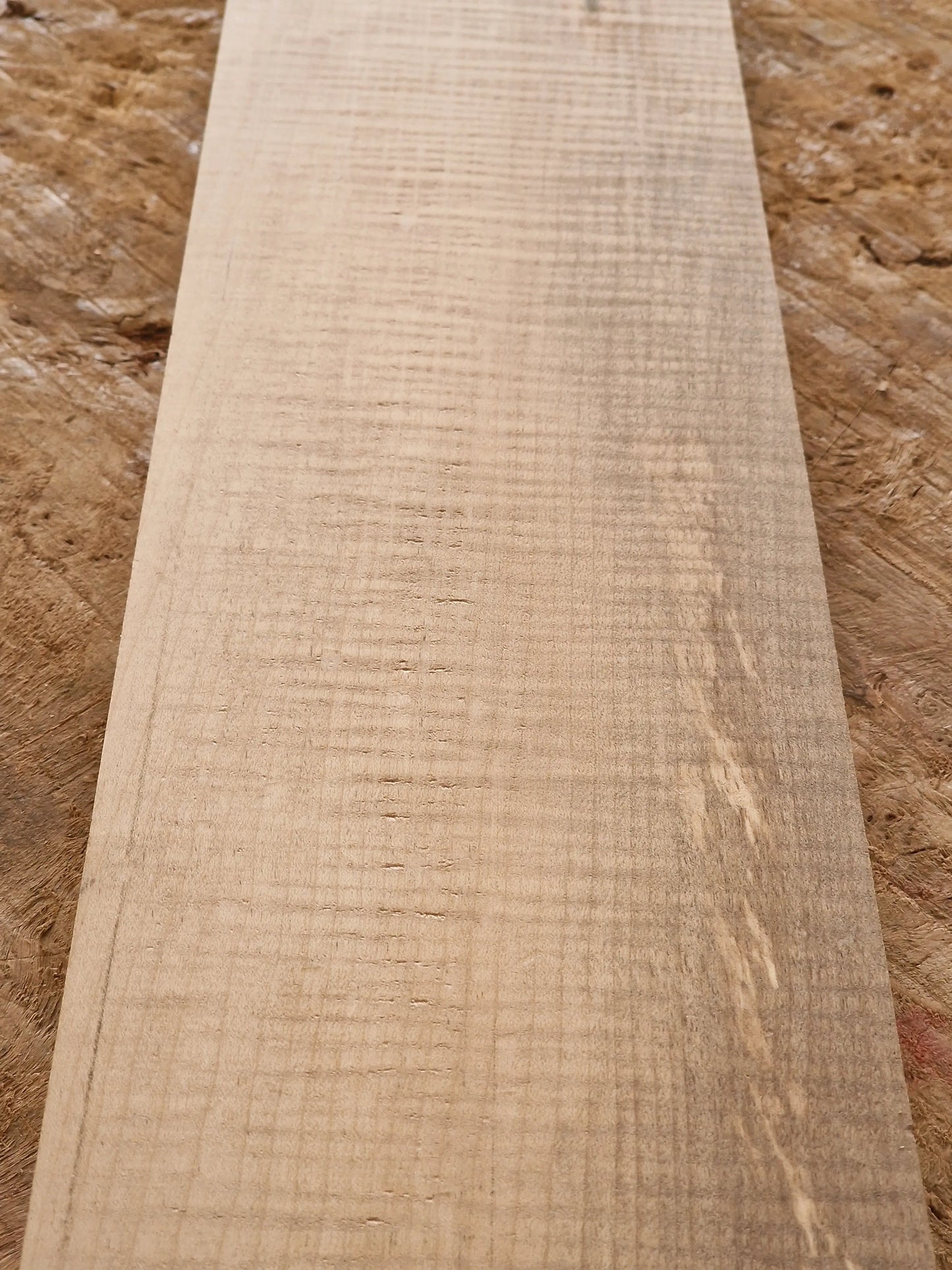 Halsrohling Riegelahorn 290925