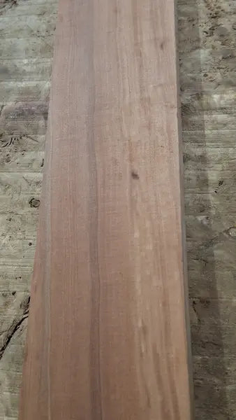 Halsrohling Tineo