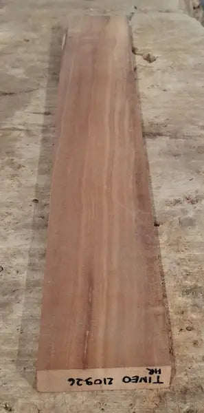 Halsrohling Tineo