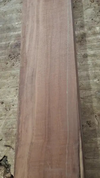 Halsrohling Tineo