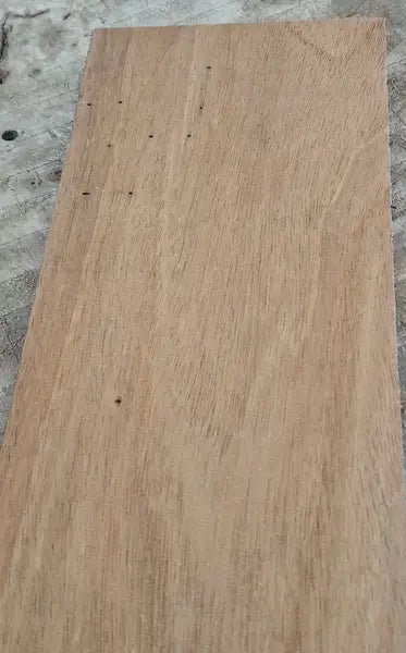 Halsrohling Swietenia 060726-1