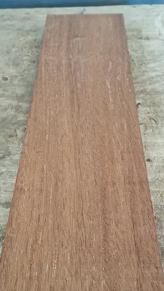Halsrohling Swietenia 060726-3