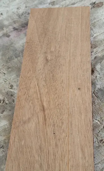 Halsrohling Swietenia 060726-4