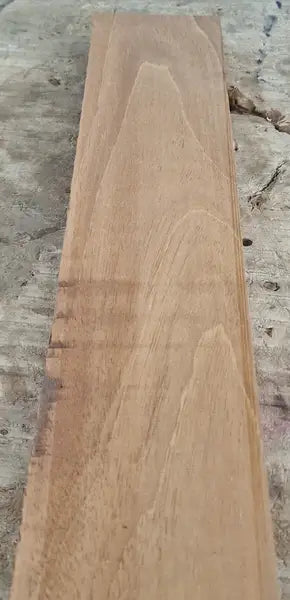 Halsrohling Swietenia 060726-5