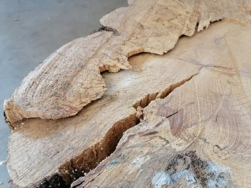 Tischplatte Cookie Buche gestockt Nr.2