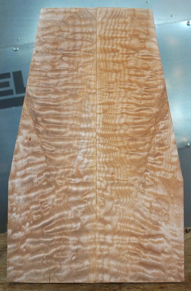 Quilted Maple oder auch Wolkenahorn