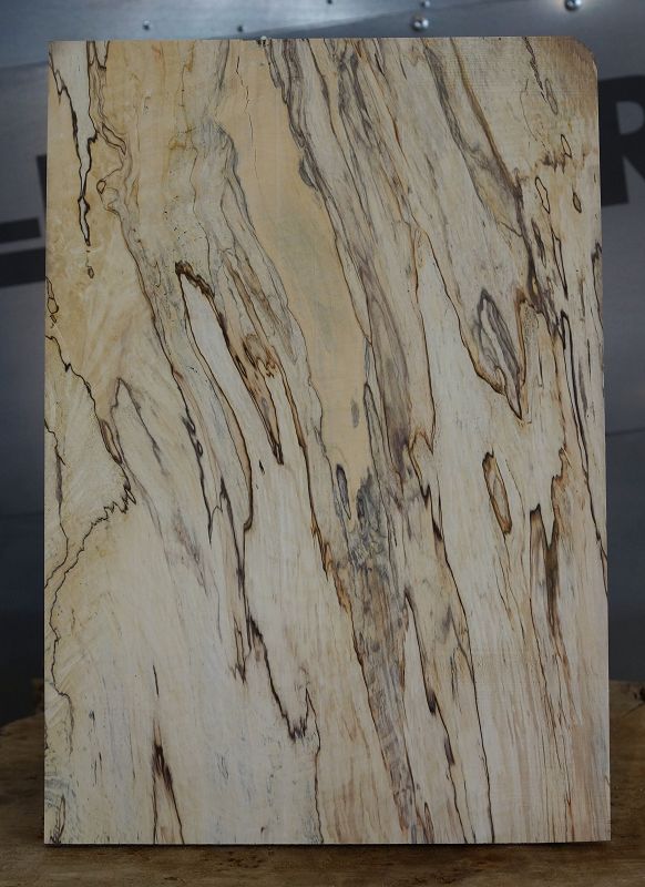 Aufleimer Spalted Maple 260523-1