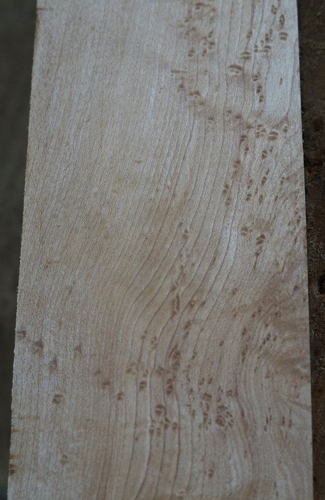 Halsrohling Birds Eye Maple 290424-4