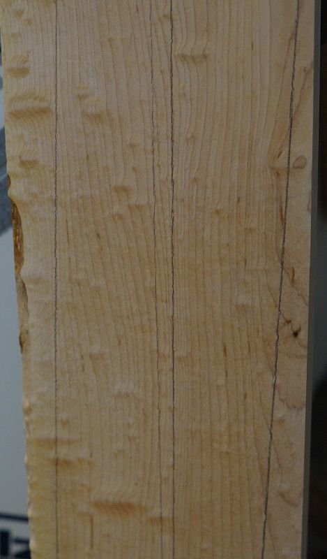 Halsrohling Blister Maple 170723-1