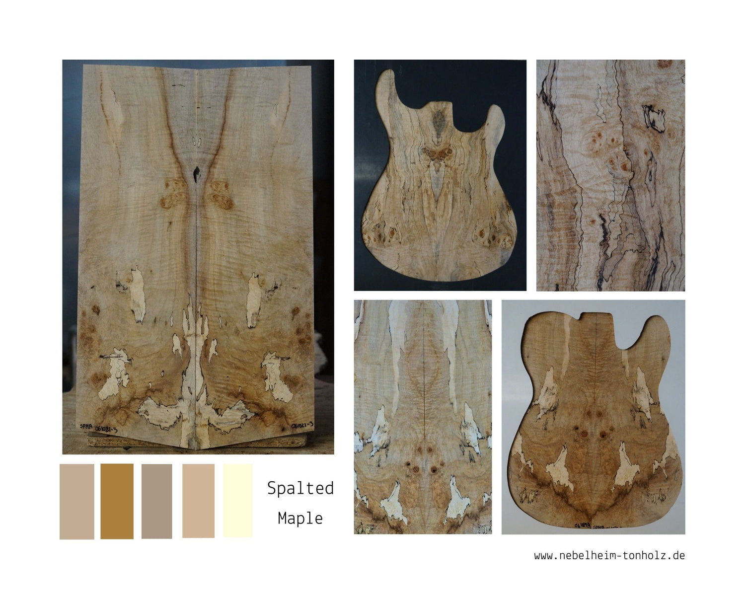 Spalted Maple guitartop